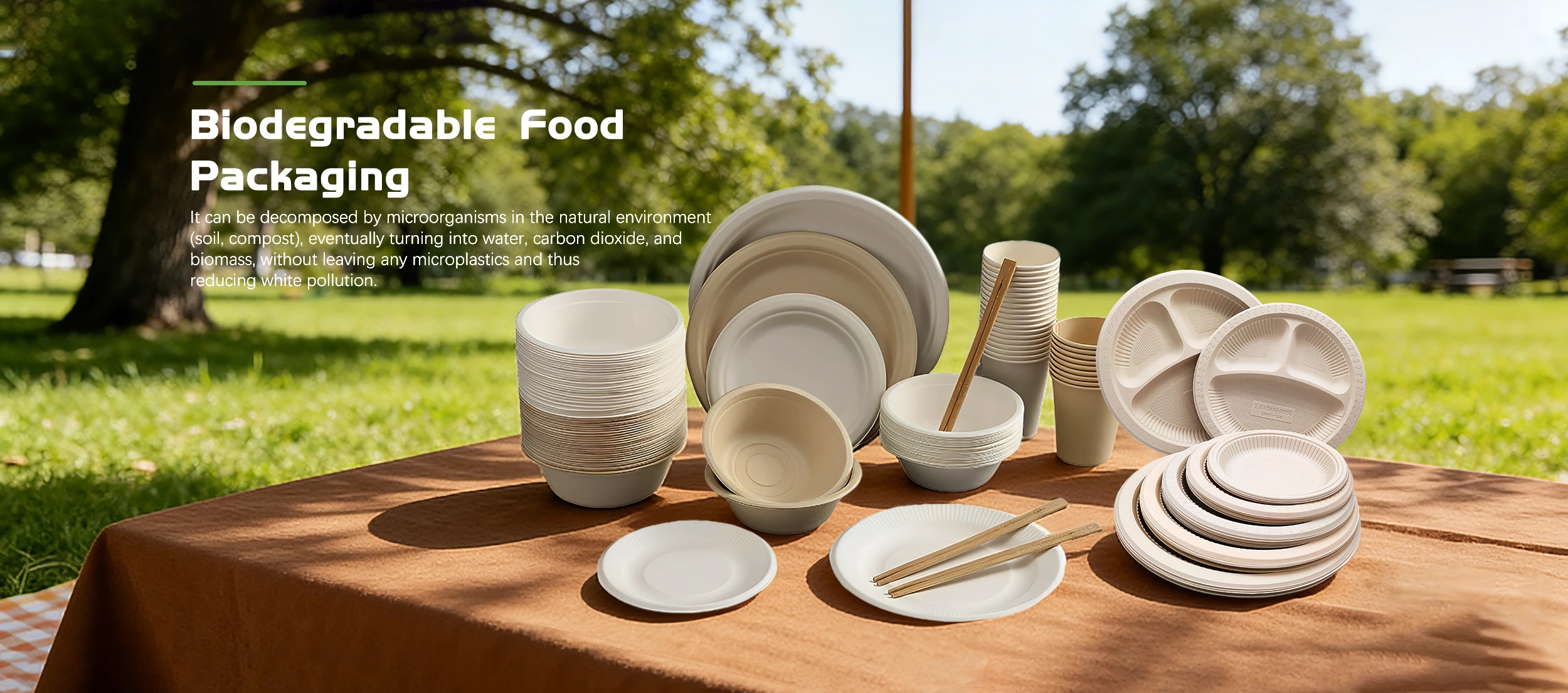 Proveedor de envases de alimentos biodegradables de China